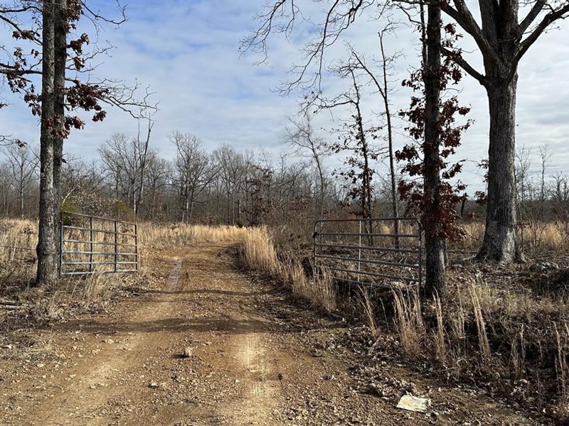 Sitka Tract on Osburn Creek : Sitka : Sharp County : Arkansas