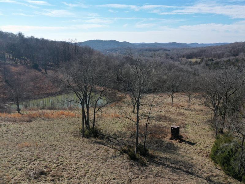 54 Recreational Acres in Petersburg : Petersburg : Lincoln County : Tennessee