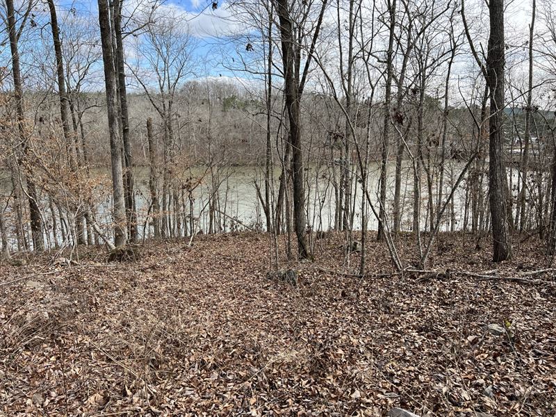 28 Acres on Lay Lake : Shelby : Shelby County : Alabama