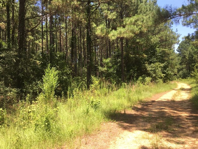 Oxford Meadville Road South : Gloster : Amite County : Mississippi