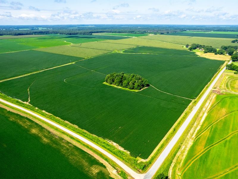 Des Arc 90 : Des Arc : Prairie County : Arkansas