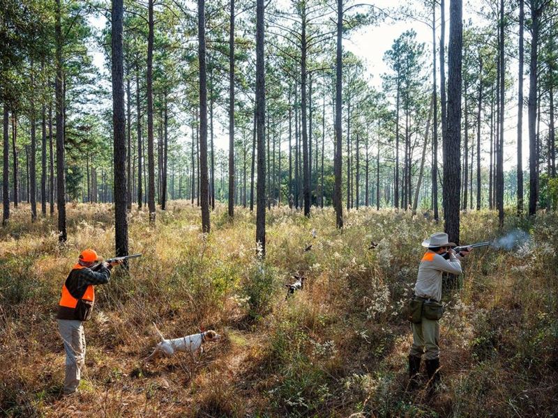 River Ridge West : Havana : Gadsden County : Florida