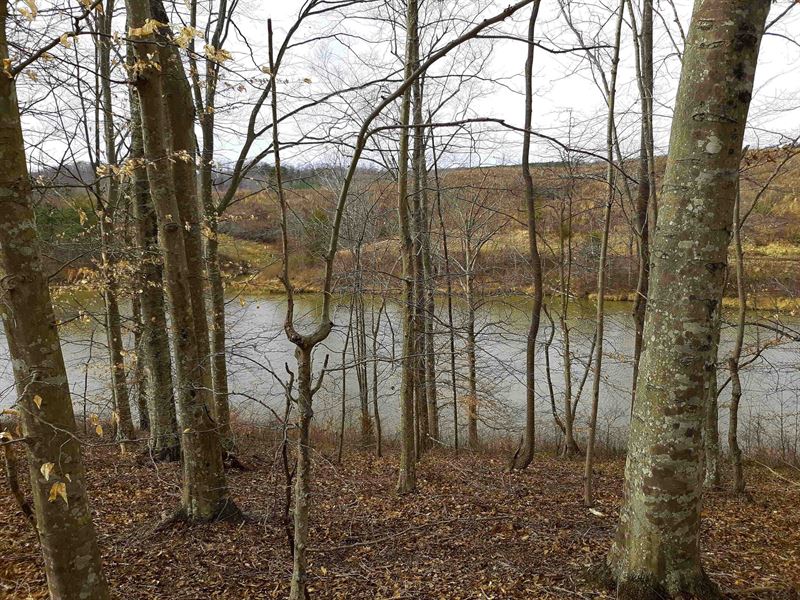 10 Acres in Yanceyville, NC : Yanceyville : Caswell County : North Carolina