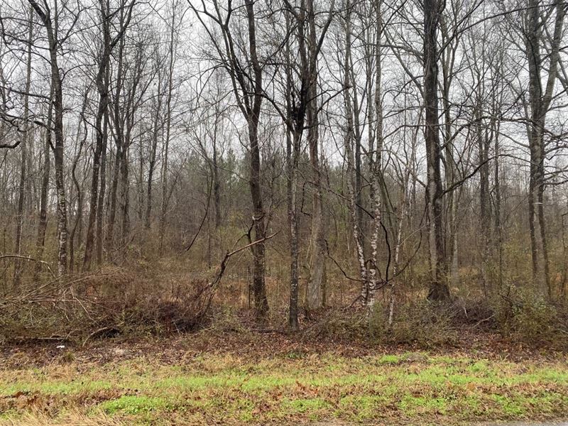 Ms, Jefferson 254 Acres : Fayette : Jefferson County : Mississippi