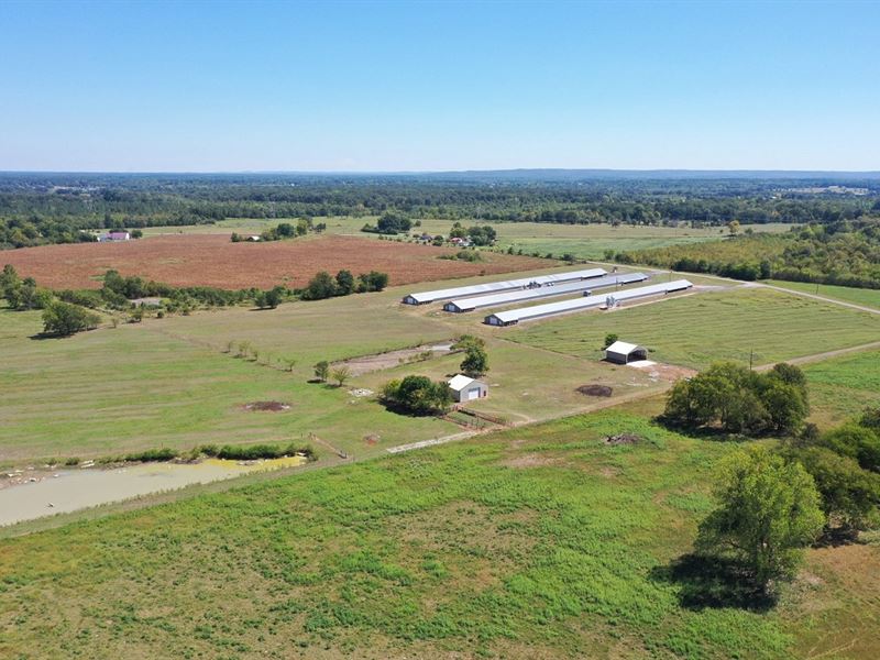 Harper Farm : Town Creek : Lawrence County : Alabama