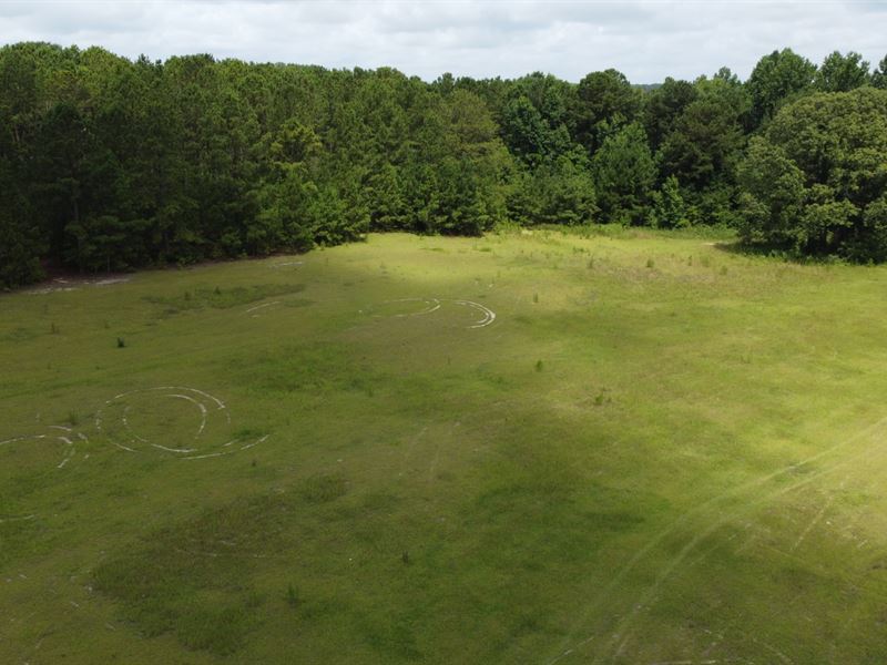 31 Acres Lee County, AL : Beauregard : Lee County : Alabama