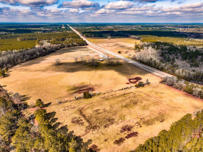 104 Acre Farm Odum, GA : Odum : Wayne County : Georgia