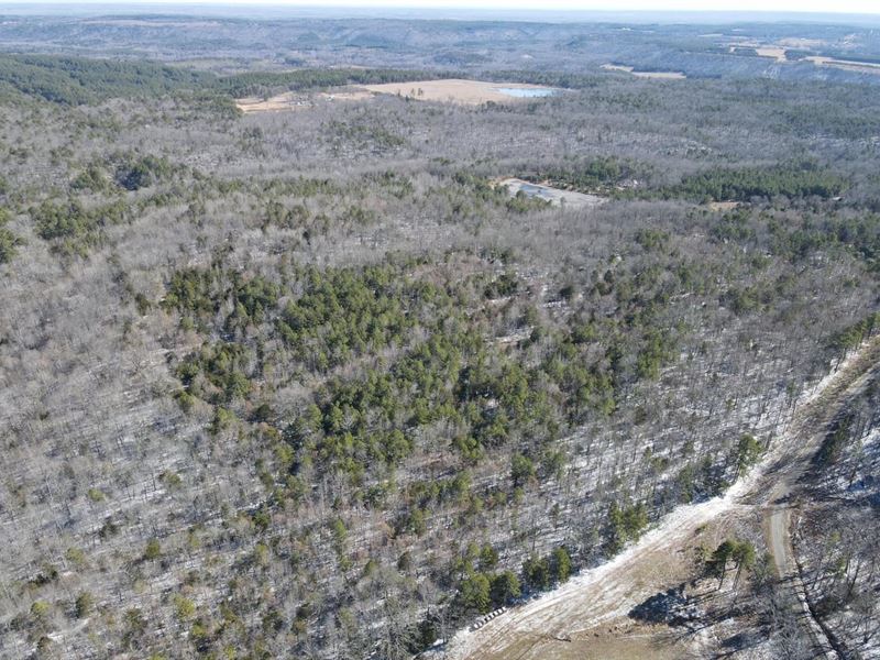 58 Acres in Rose Bud/Sidon : Sidon : White County : Arkansas