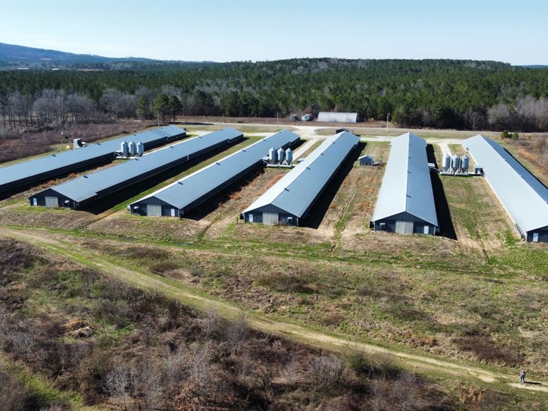 Winstead Broiler Farm : Piedmont : Cherokee County : Alabama