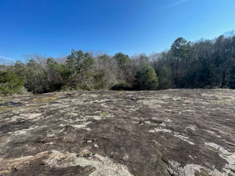 15.9 Acres, Rockdale County, GA : Conyers : Rockdale County : Georgia