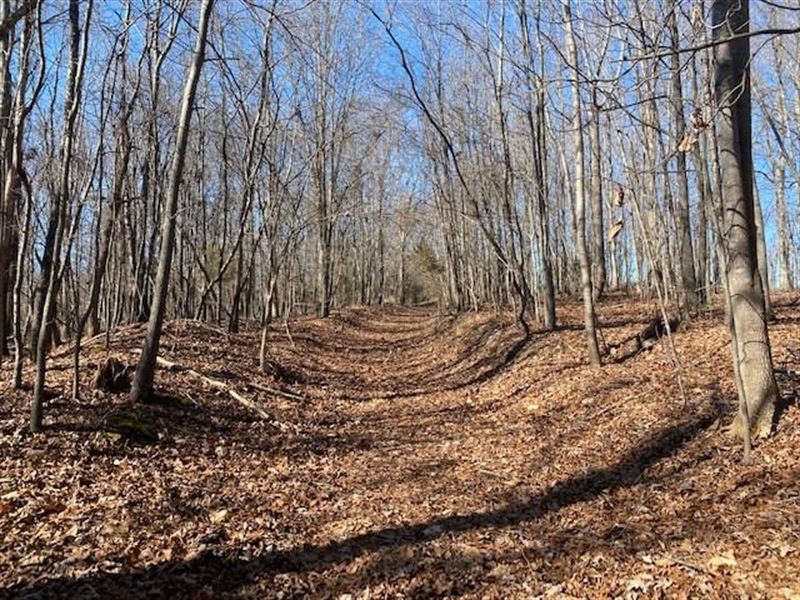 Wildlife Retreat : South Boston : Halifax County : Virginia