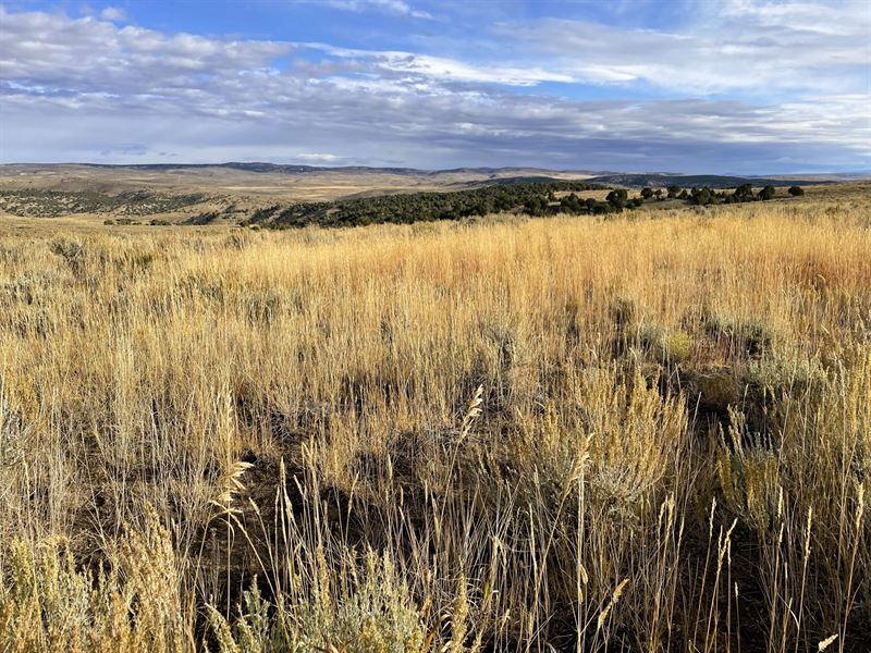 Lay Creek Ranch : Craig : Moffat County : Colorado
