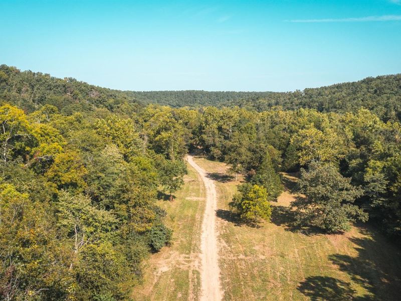 Paddy Creek Wilderness, Tract 1 : Roby : Texas County : Missouri