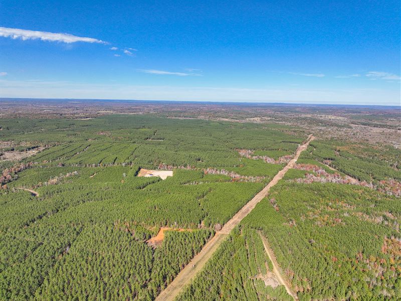 485.5 Acres Off CR 425 : Woden : Nacogdoches County : Texas