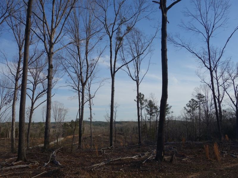 Hilltop Hideaway, Lake Access : Great Falls : Fairfield County : South Carolina