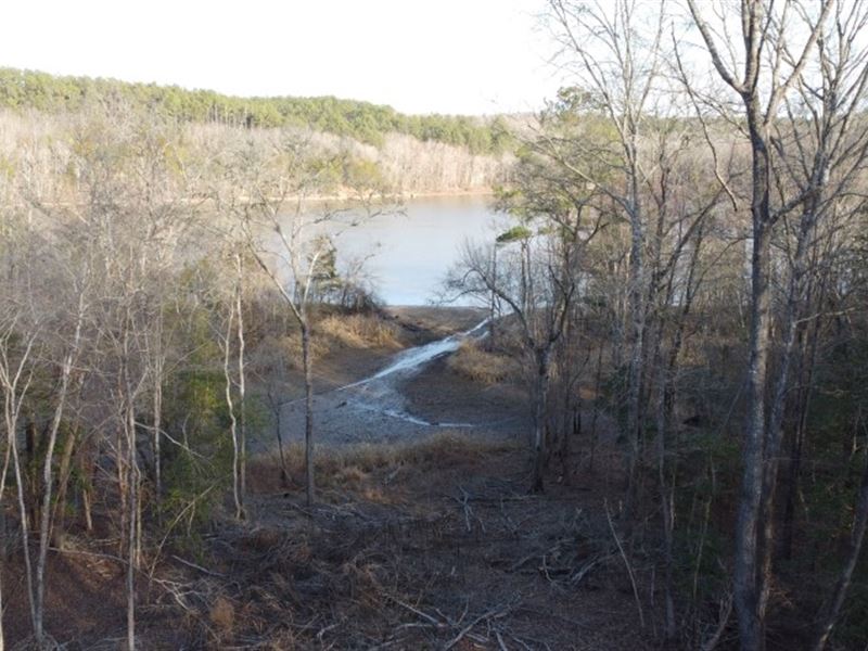 Large Acreage on The Lake : Great Falls : Fairfield County : South Carolina
