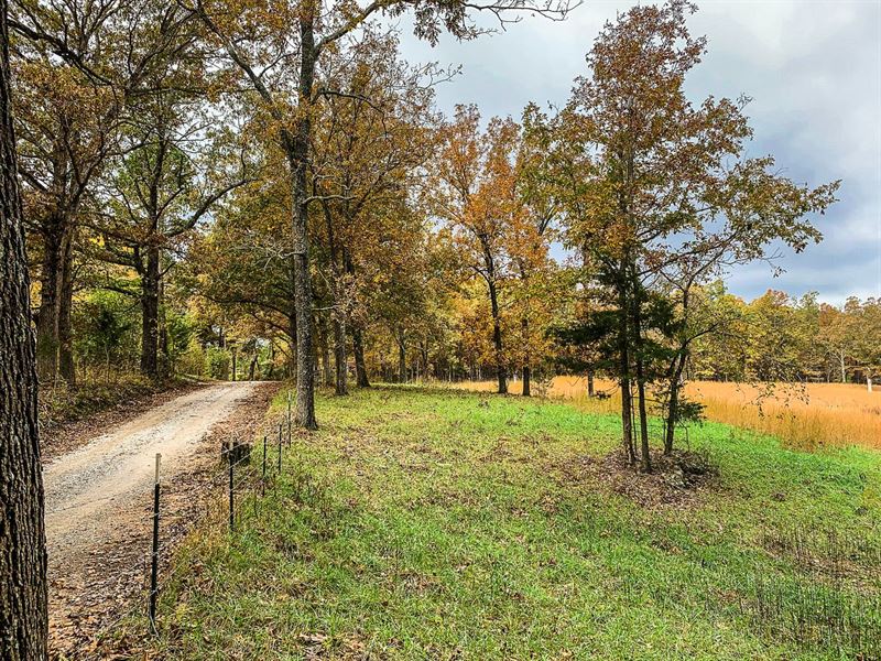 Secluded Acreage Near River : Tecumseh : Ozark County : Missouri