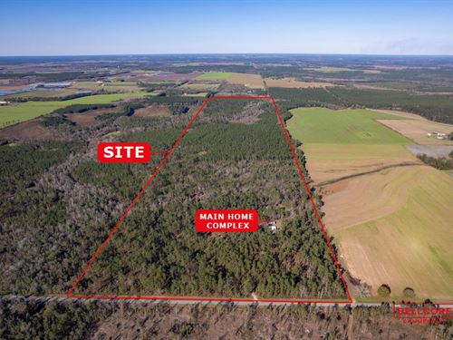 Sportsman's Paradise Retreat : McDavid : Escambia County : Florida