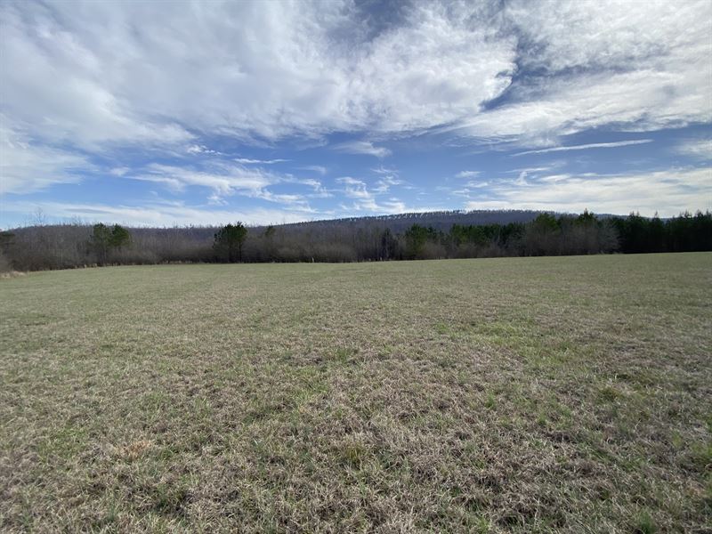 Creek, Hunting, Homesite : Ashville : Saint Clair County : Alabama