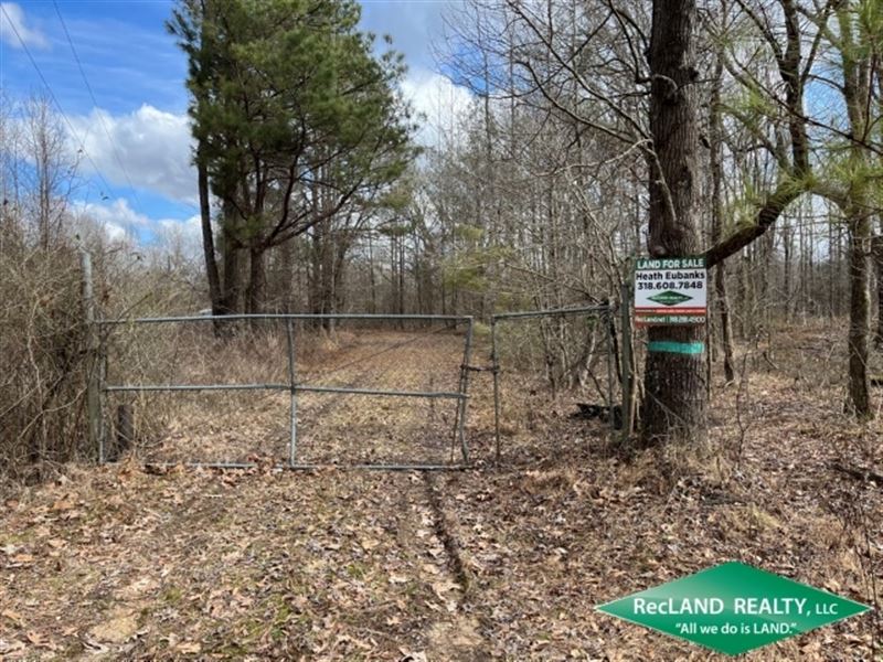 130 Ac Hunting Tract with Utilities : Hamburg : Ashley County : Arkansas