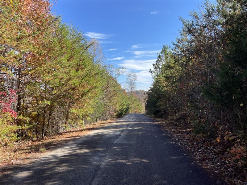 10 Acres, Stephens County, GA : Toccoa : Stephens County : Georgia