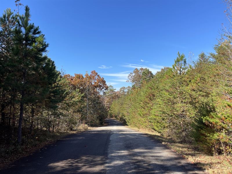 25 Acres, Stephens County, GA : Toccoa : Hall County : Georgia
