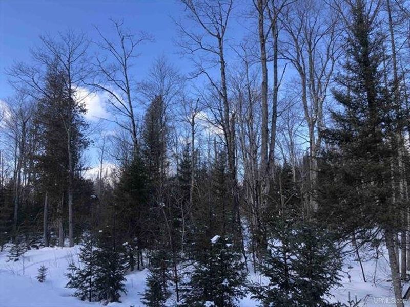 660 Acres, Stream 50101423 : Cornell : Marquette County : Michigan