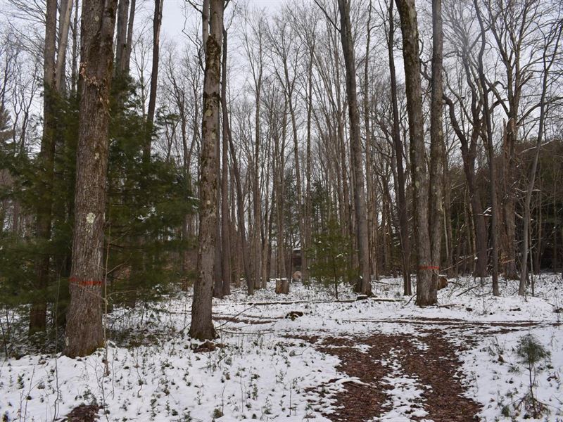 Marvelous Marshburg : Lewis Run : McKean County : Pennsylvania