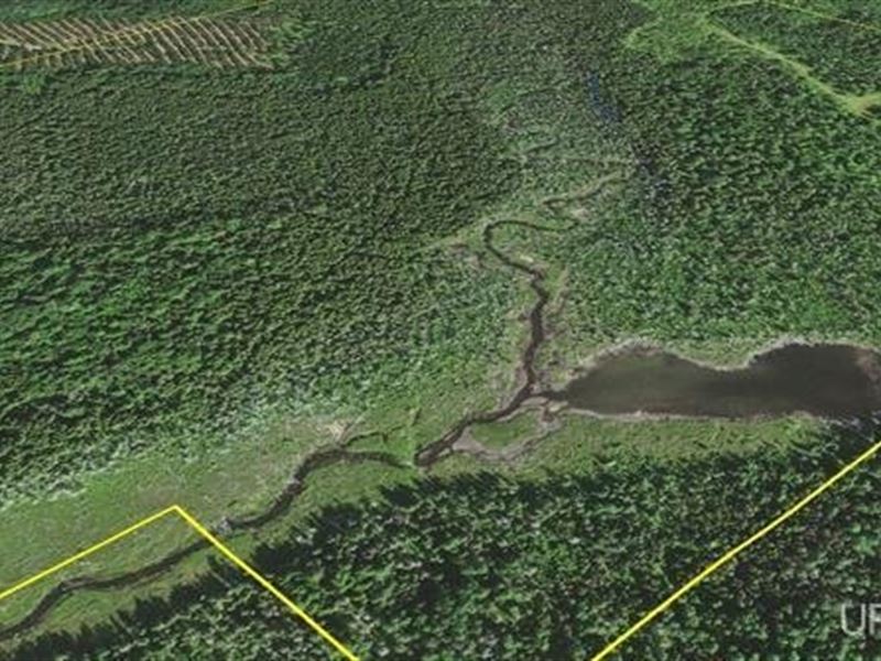 500 Acres, Stream 50101446 : Cornell : Marquette County : Michigan