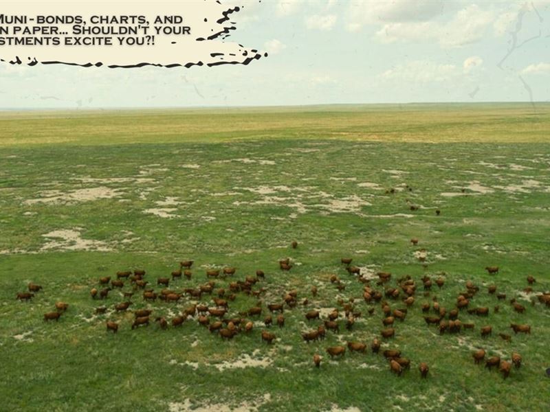 Colorado Bison Ranch and Wind Lease, Ranch for Sale in Colorado