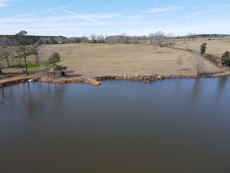75 Acres Boykin Rd : Red Level : Covington County : Alabama