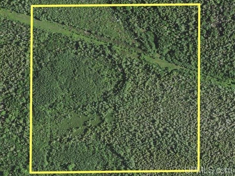 40 Acres Off Co Rd 426 50101463 : Cornell : Marquette County : Michigan
