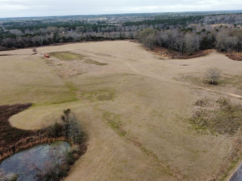Rogers Road Tract : Seminary : Covington County : Mississippi