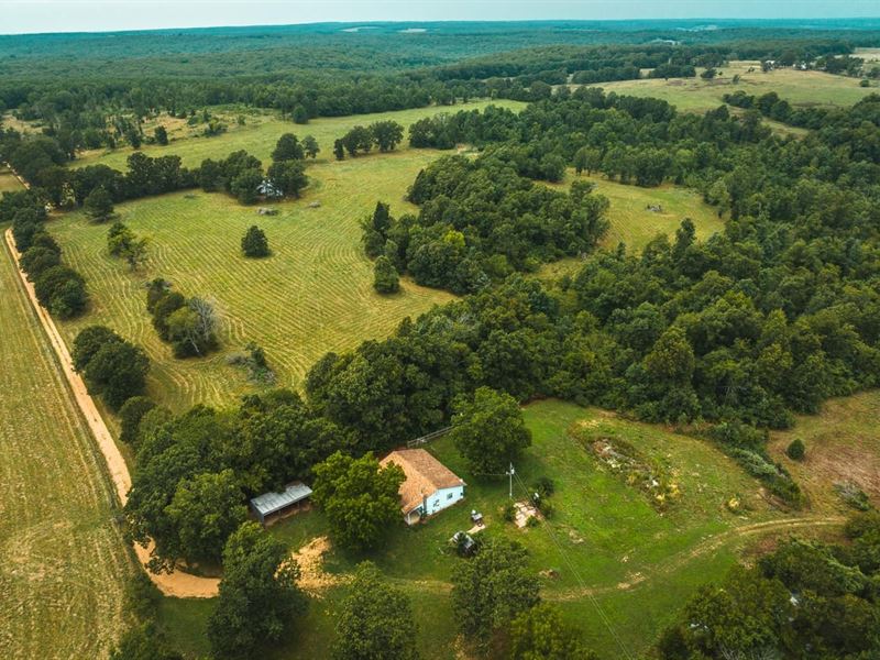 Burkhart Creek 156 : Plato : Texas County : Missouri