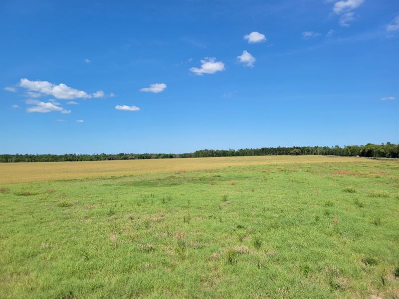 Highlands at OC Lot 5 : Fort McCoy : Marion County : Florida