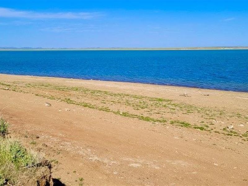 Waterfront in Wyoming : Rock River : Albany County : Wyoming