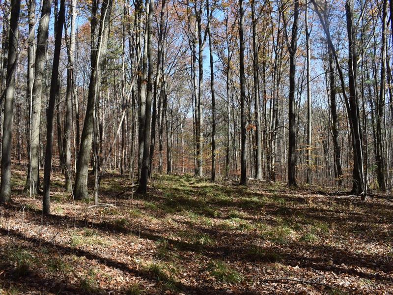 Coss Corners : Bath : Steuben County : New York