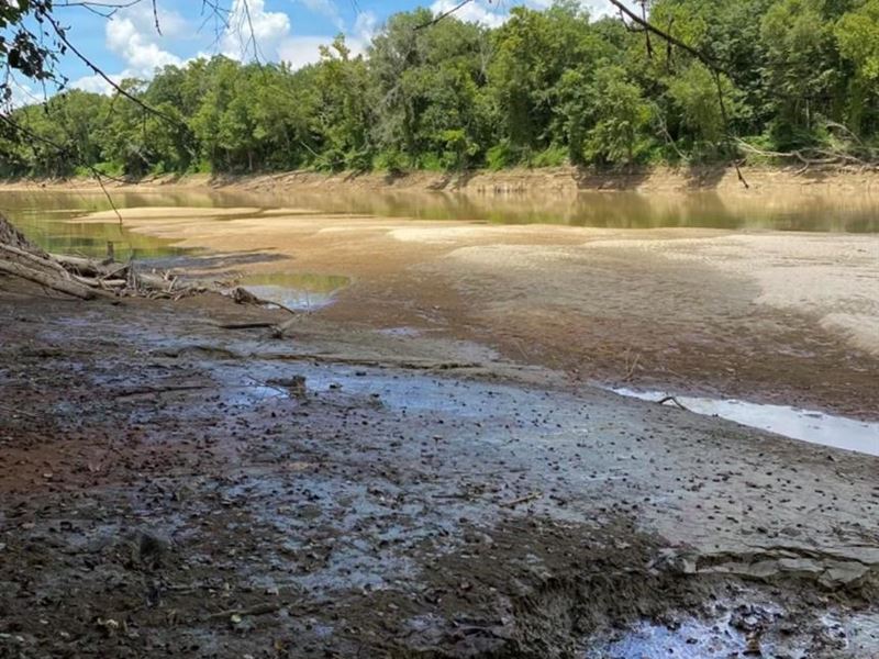 230 Ac M/L N & S Mud Flats Bayou : Woodville : Wilkinson County : Mississippi