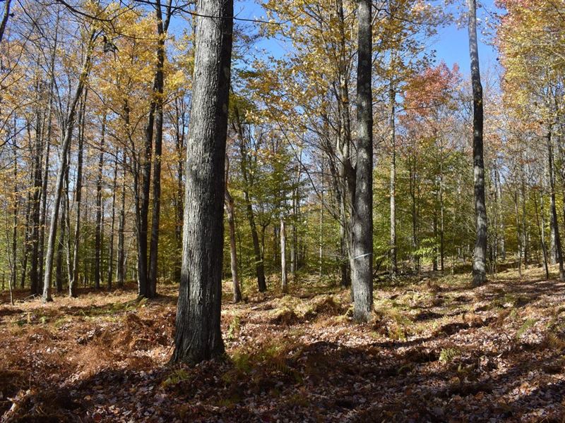 Prospect Hill : Smethport : McKean County : Pennsylvania