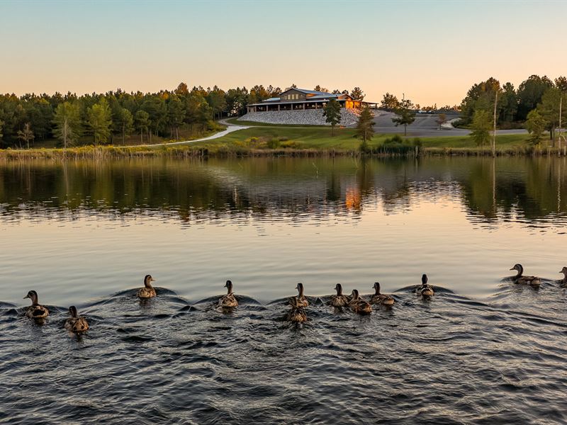 Soggy Bottom Lodge, World Class : Linden : Marengo County : Alabama