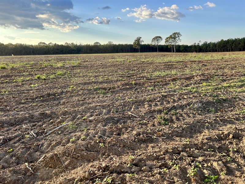 The McCullough Road Bryant Lane : Atmore : Escambia County : Alabama