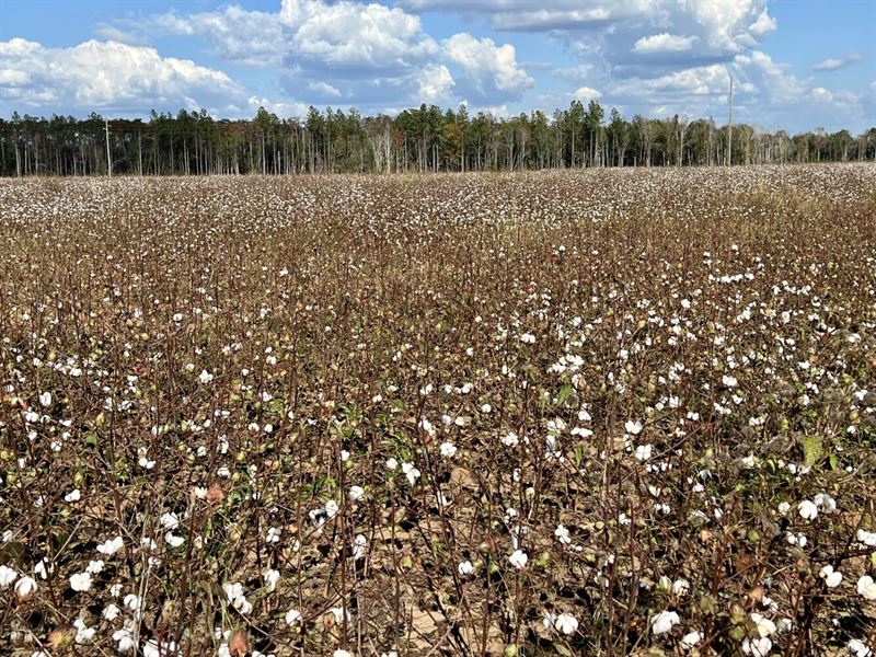 The Huxford Wayside Road Farm : Atmore : Escambia County : Alabama
