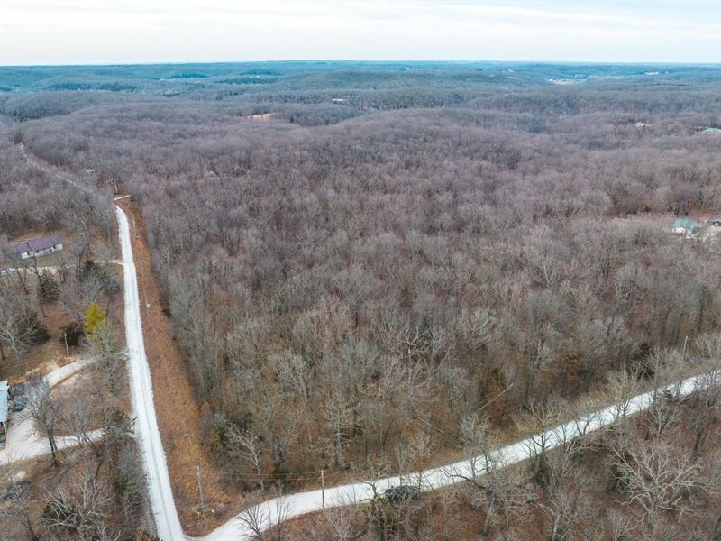 Timberline Woods : Saint Clair : Franklin County : Missouri