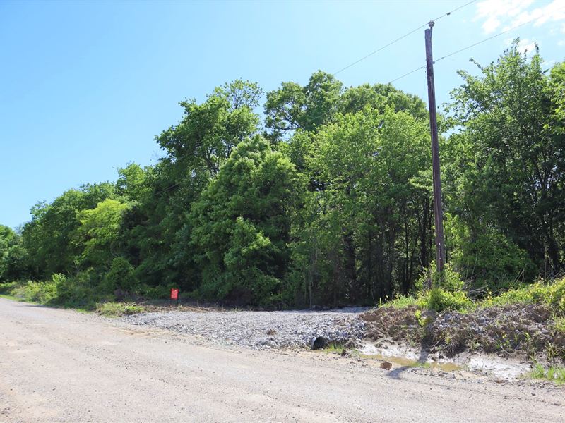 20 Acres Unrestricted with Homesite : Lamar : Hughes County : Oklahoma