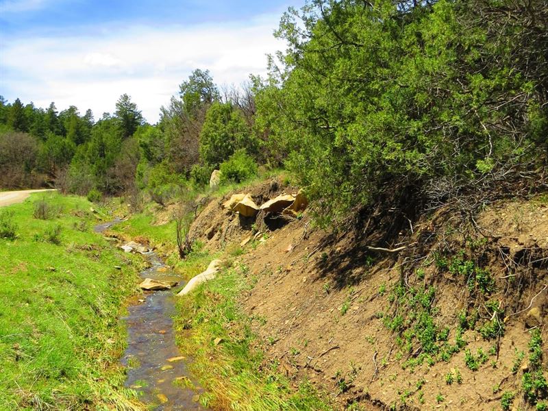 C52 Santa Fe Trail Ranch : Trinidad : Las Animas County : Colorado