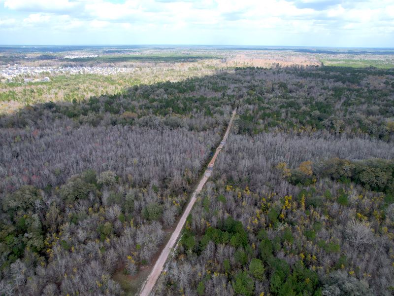 Hack's Pasture Tract : Hinesville : Liberty County : Georgia