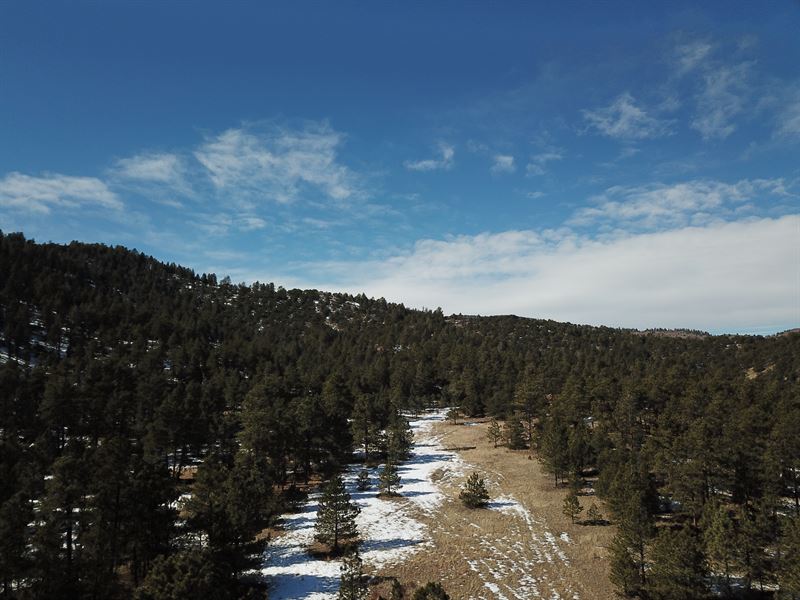 Big Meadows : Canon City : Fremont County : Colorado