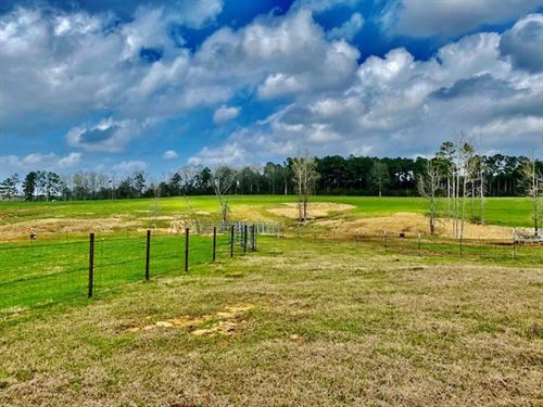120 Acres Improved Pasture Jeff Dav : Bassfield : Jefferson Davis County : Mississippi