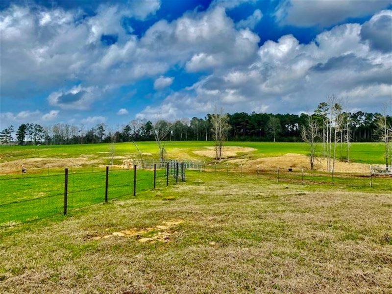 122 Acres Improved Pasture Jeff Dav : Bassfield : Jefferson Davis County : Mississippi