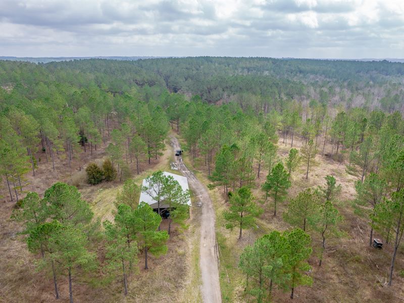 Kaiser Bottom Farm, 310 Winston : Poplar Springs : Winston County : Alabama